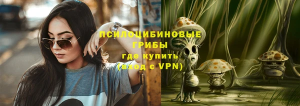 стаф Алексеевка